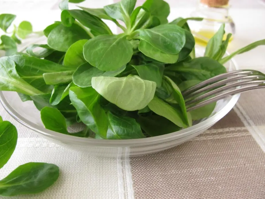 Zutaten 1 Tasse Hirse 2 Tassen Wasser 2 Handvoll Feldsalat 250 g Hackfleisch - фото 4