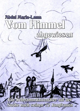 Abdul Maria-Lama Vom Himmel abgewiesen обложка книги