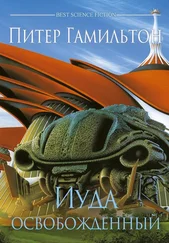 Питер Гамильтон - Иуда Освобожденный