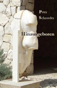 Peter Schroeder Hinausgeboren обложка книги