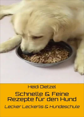 Heidi Dietzel Schnelle & Feine Rezepte für den Hund обложка книги