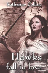 Katherine Collins - Hawks fall in love