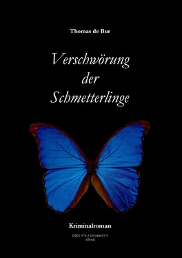 Thomas de Bur Verschwörung der Schmetterlinge обложка книги