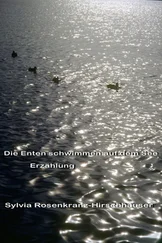 Sylvia Rosenkranz-Hirschhäuser - Die Enten schwimmen auf dem See