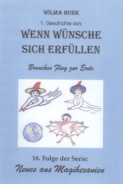 Wilma Burk Wenn Wünsche sich erfüllen 1. Geschichte обложка книги