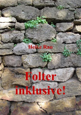 Heike Rau Folter inklusive! обложка книги