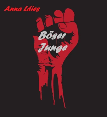 Anna Ldies Böser Junge обложка книги