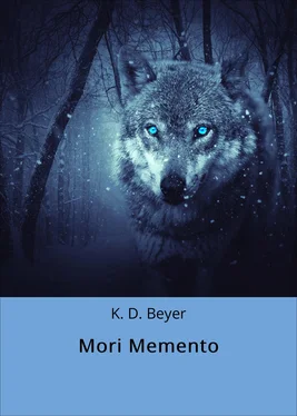 K. D. Beyer Mori Memento обложка книги