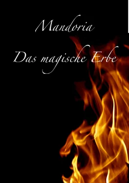 Maria Meyer Mandoria - Das magische Erbe обложка книги
