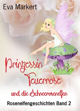 Eva Markert Prinzessin Feuerrose und die Schneerosenelfen обложка книги