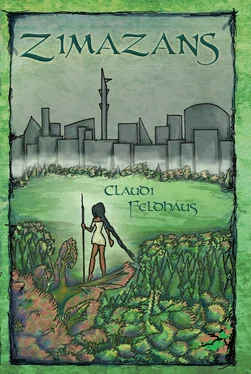 Claudi Feldhaus Zimazans обложка книги