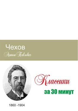 Илья Мельников Чехов за 30 минут обложка книги