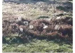 Das Leben wie es sein sollte Scheine Sonne scheine Schein auf Kurt und - фото 30