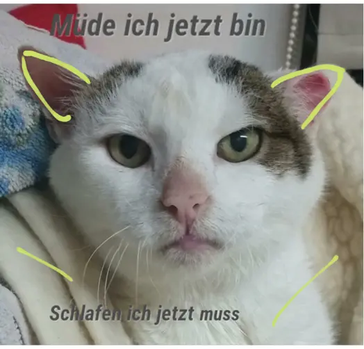 23 August Kurt sagte mein Frauchen gestern zu mir wir fahren in 2 Wochen - фото 17