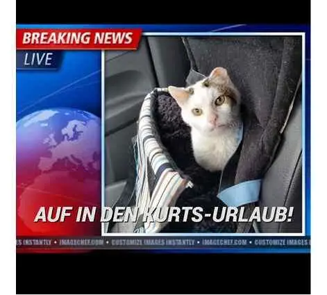 2 September abends God aften fra Kurten Ein langer Tag geht langsam - фото 21