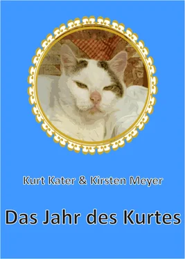 Kurt Kater Das Jahr des Kurtes обложка книги