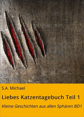 S.A. Michael Liebes Katzentagebuch Teil 1 обложка книги