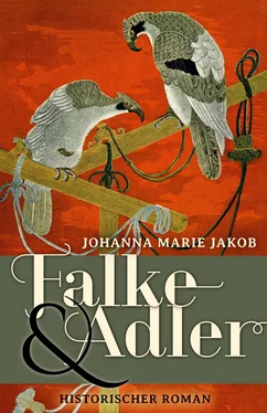 Johanna Marie Jakob Falke und Adler обложка книги