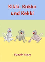 Beatrix Nagy - Kikki, Kokko und Kekki