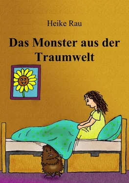 Heike Rau Das Monster aus der Traumwelt обложка книги