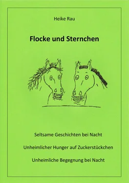 Heike Rau Flocke und Sternchen обложка книги