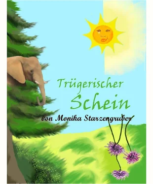 Monika Starzengruber Trügerischer Schein обложка книги