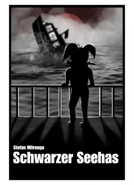 Stefan Mitrenga Schwarzer Seehas обложка книги