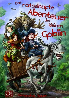 Alexandra Bauer Das rätselhafte Abenteuer des kleinen Goblin обложка книги