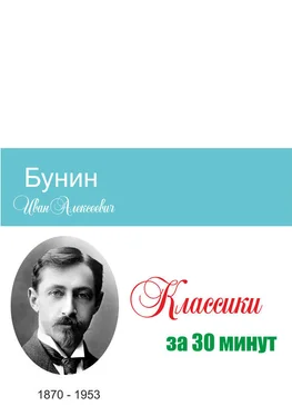 Татьяна Беленькая Бунин за 30 минут обложка книги