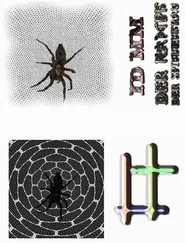 Maik Mueller - DER KAMPF DER SPINNENFRAU