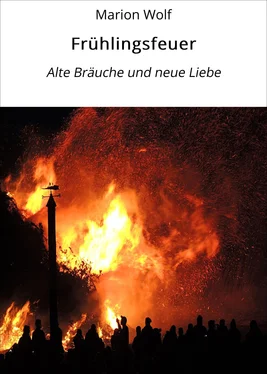 Marion Wolf Frühlingsfeuer обложка книги
