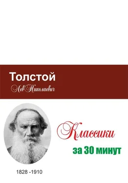 Илья Мельников Толстой за 30 минут обложка книги