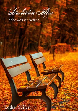 Lothar Seifert Die beiden Alten обложка книги