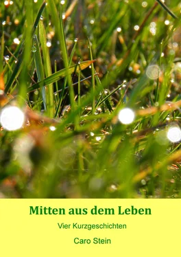 Caro Stein Mitten aus dem Leben обложка книги