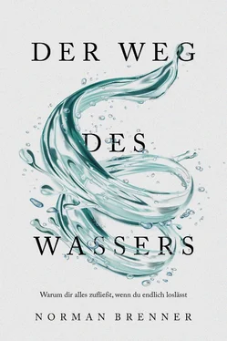 Norman Brenner Der Weg des Wassers: Warum dir alles zufließt, wenn du endlich loslässt обложка книги