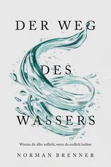 Norman Brenner - Der Weg des Wassers - Warum dir alles zufließt, wenn du endlich loslässt