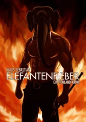 Klaus Sebastian - Elefantenfieber