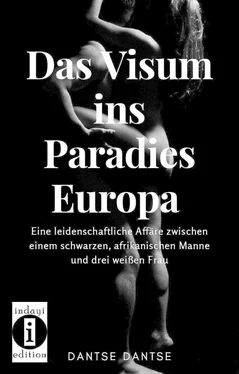 Dantse Dantse Das Visum ins Paradies Europa обложка книги