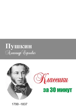 Илья Мельников Пушкин за 30 минут обложка книги