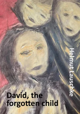 Helmut Lauschke David, the forgotten child обложка книги