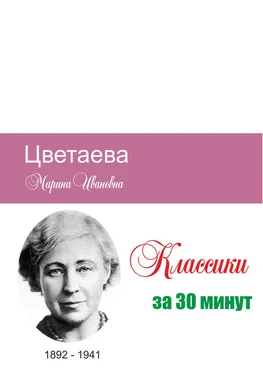 Илья Мельников Цветаева за 30 минут обложка книги