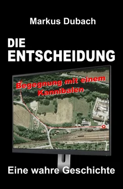 Markus Dubach DIE ENTSCHEIDUNG - BEGEGNUNG MIT EINEM KANNIBALEN обложка книги