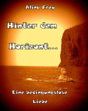 Alina Frey Hinter dem Horizont обложка книги