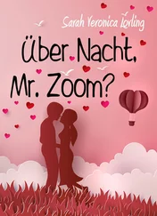 Sarah Veronica Lovling - Über Nacht, Mr. Zoom?