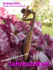 Andrea Kühn - Jahreszeiten