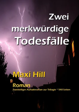 Maxi Hill Zwei merkwürdige Todesfälle обложка книги