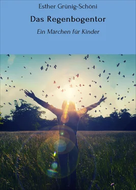 Esther Grünig-Schöni Das Regenbogentor обложка книги