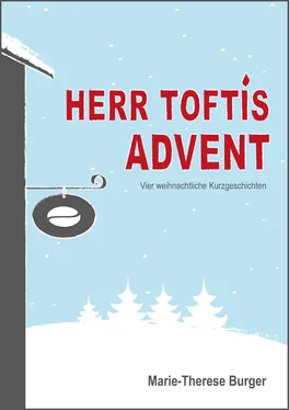 Marie-Therese Burger Herr Toftis Advent обложка книги