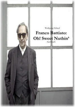 Wolfgang Haberl Franco Battiato: Oh! Sweet Nuthin' обложка книги