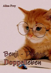 Alina Frey - Benji - Diegos Doppelleben